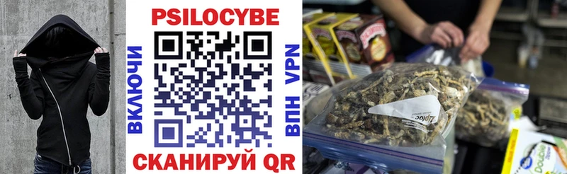 Псилоцибиновые грибы Psilocybine cubensis  Унеча 