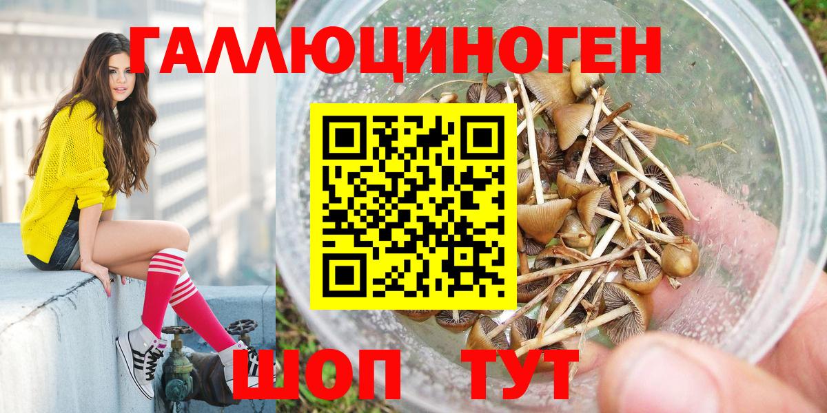 Псилоцибиновые грибы мицелий Унеча